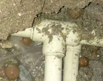 沈河测漏水多少钱