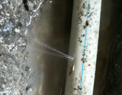 沈河测漏水哪家好